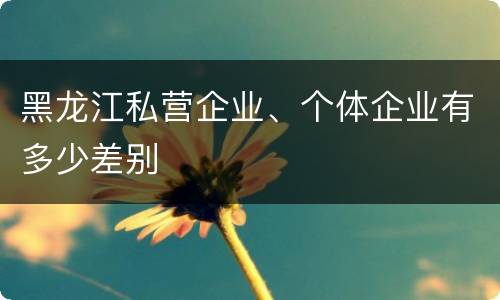 黑龙江私营企业、个体企业有多少差别