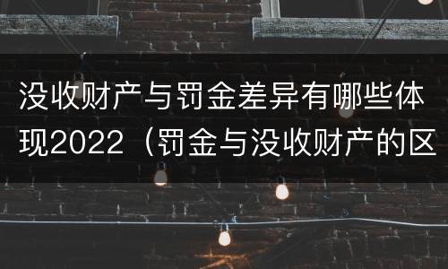 没收财产与罚金差异有哪些体现2022（罚金与没收财产的区别）