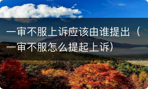 一审不服上诉应该由谁提出（一审不服怎么提起上诉）