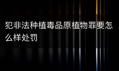 犯非法种植毒品原植物罪要怎么样处罚