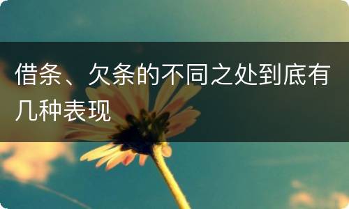借条、欠条的不同之处到底有几种表现
