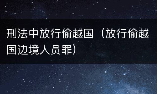 刑法中放行偷越国（放行偷越国边境人员罪）