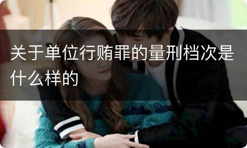 关于单位行贿罪的量刑档次是什么样的