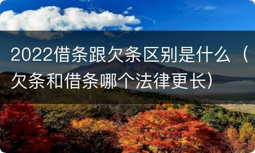 2022借条跟欠条区别是什么（欠条和借条哪个法律更长）