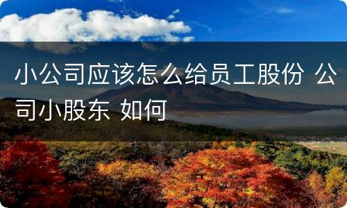 小公司应该怎么给员工股份 公司小股东 如何