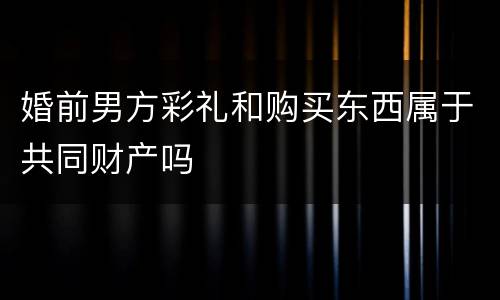 婚前男方彩礼和购买东西属于共同财产吗