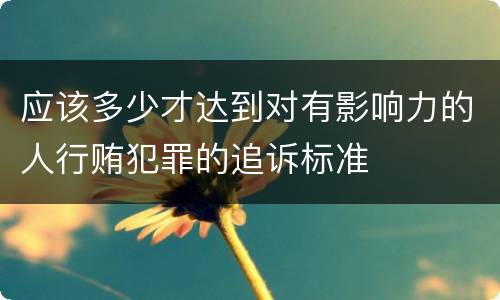 应该多少才达到对有影响力的人行贿犯罪的追诉标准