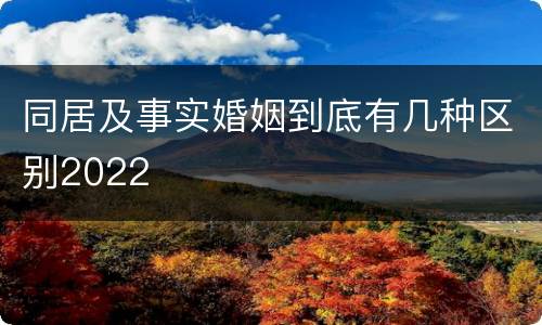同居及事实婚姻到底有几种区别2022
