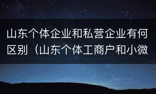 山东个体企业和私营企业有何区别（山东个体工商户和小微企业）