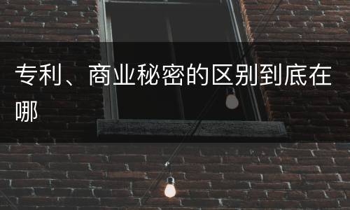 专利、商业秘密的区别到底在哪