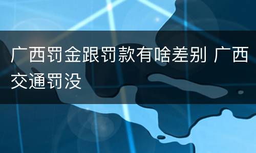 广西罚金跟罚款有啥差别 广西交通罚没