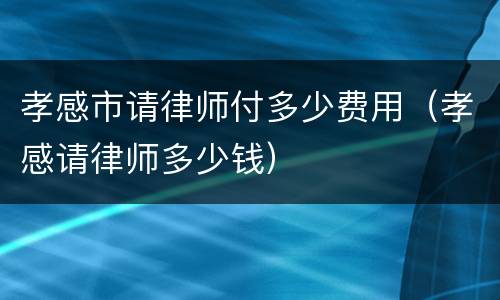 孝感市请律师付多少费用（孝感请律师多少钱）
