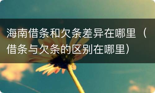 海南借条和欠条差异在哪里（借条与欠条的区别在哪里）