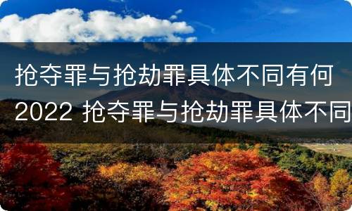 抢夺罪与抢劫罪具体不同有何2022 抢夺罪与抢劫罪具体不同有何2022规定