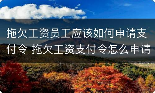 拖欠工资员工应该如何申请支付令 拖欠工资支付令怎么申请