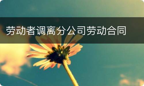 劳动者调离分公司劳动合同