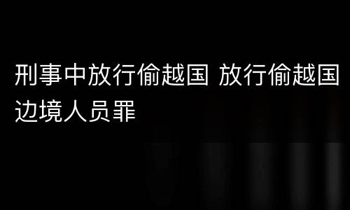 刑事中放行偷越国 放行偷越国边境人员罪