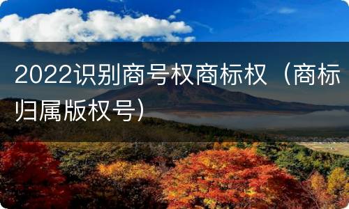 2022识别商号权商标权（商标归属版权号）