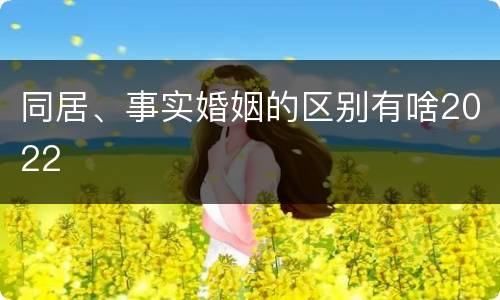 同居、事实婚姻的区别有啥2022