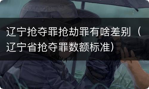 辽宁抢夺罪抢劫罪有啥差别（辽宁省抢夺罪数额标准）