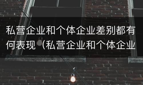私营企业和个体企业差别都有何表现（私营企业和个体企业差别都有何表现和特点）