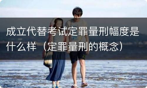 成立代替考试定罪量刑幅度是什么样（定罪量刑的概念）
