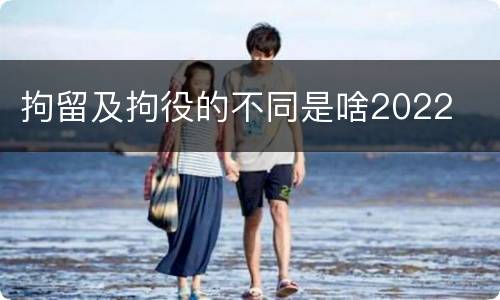 拘留及拘役的不同是啥2022