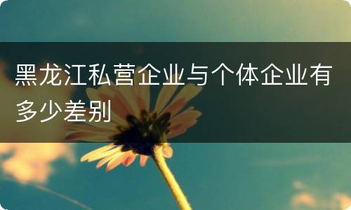 黑龙江私营企业与个体企业有多少差别
