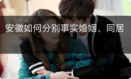 安徽如何分别事实婚姻、同居