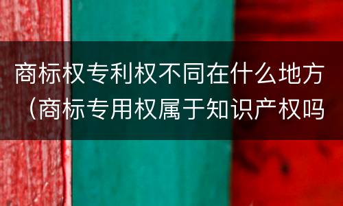 商标权专利权不同在什么地方（商标专用权属于知识产权吗?）