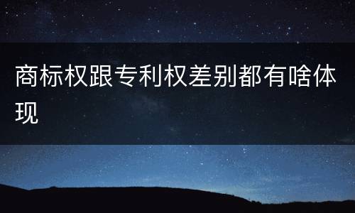 商标权跟专利权差别都有啥体现