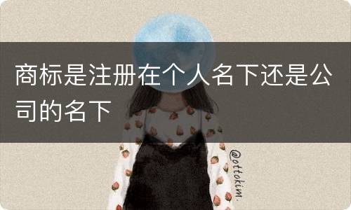 商标是注册在个人名下还是公司的名下