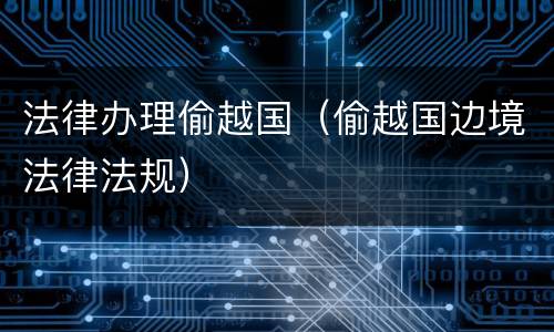法律办理偷越国（偷越国边境法律法规）