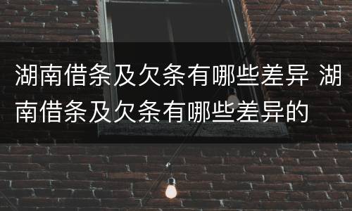 湖南借条及欠条有哪些差异 湖南借条及欠条有哪些差异的