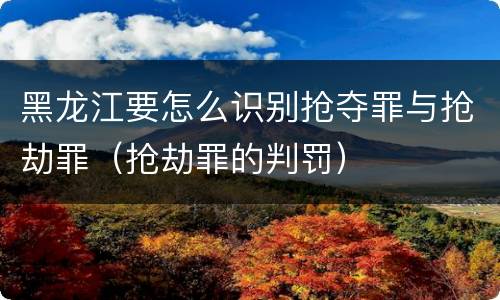 黑龙江要怎么识别抢夺罪与抢劫罪（抢劫罪的判罚）