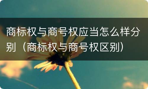 商标权与商号权应当怎么样分别（商标权与商号权区别）