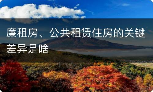 廉租房、公共租赁住房的关键差异是啥
