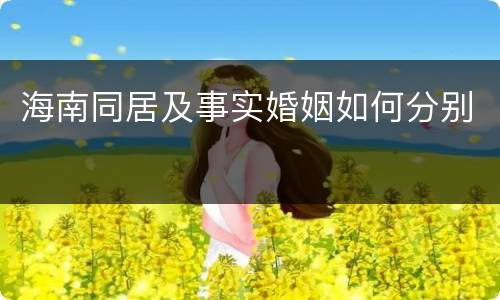 海南同居及事实婚姻如何分别