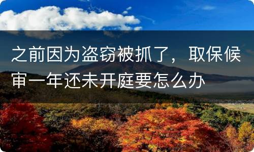 之前因为盗窃被抓了，取保候审一年还未开庭要怎么办