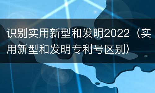 识别实用新型和发明2022（实用新型和发明专利号区别）