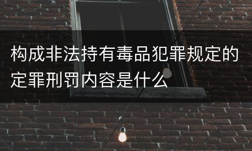 构成非法持有毒品犯罪规定的定罪刑罚内容是什么