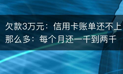 欠款3万元：信用卡账单还不上那么多：每个月还一千到两千元：请问还要做坐牢吗