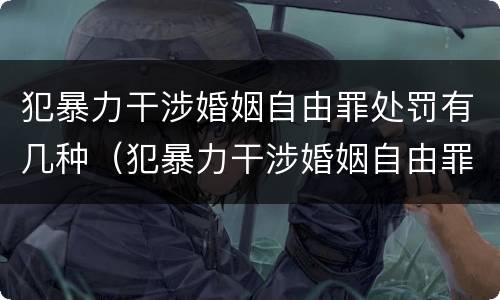 犯暴力干涉婚姻自由罪处罚有几种（犯暴力干涉婚姻自由罪处罚有几种方式）