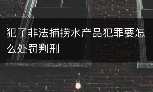 犯了非法捕捞水产品犯罪要怎么处罚判刑