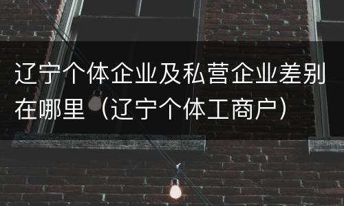 辽宁个体企业及私营企业差别在哪里（辽宁个体工商户）