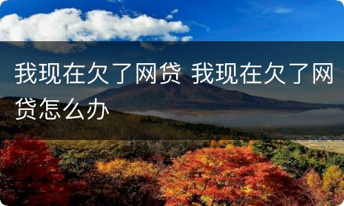 我现在欠了网贷 我现在欠了网贷怎么办