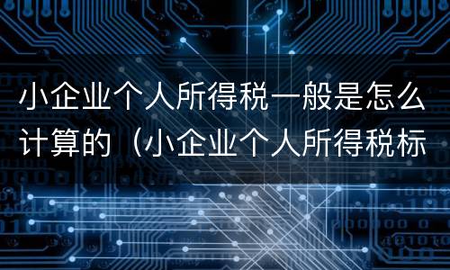 小企业个人所得税一般是怎么计算的（小企业个人所得税标准）