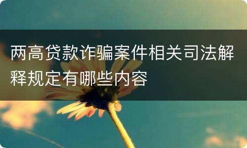 两高贷款诈骗案件相关司法解释规定有哪些内容