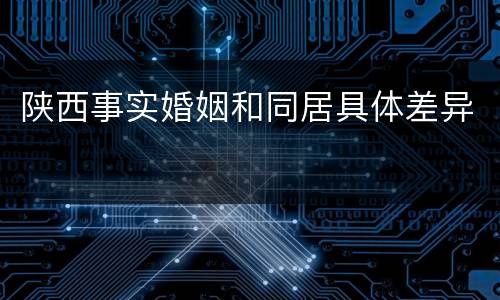陕西事实婚姻和同居具体差异