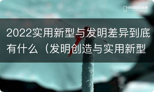 2022实用新型与发明差异到底有什么（发明创造与实用新型的区别）